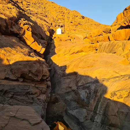 Casa Viola Коста Калма