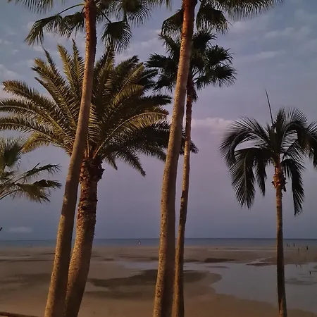 Apartman Casa Viola *