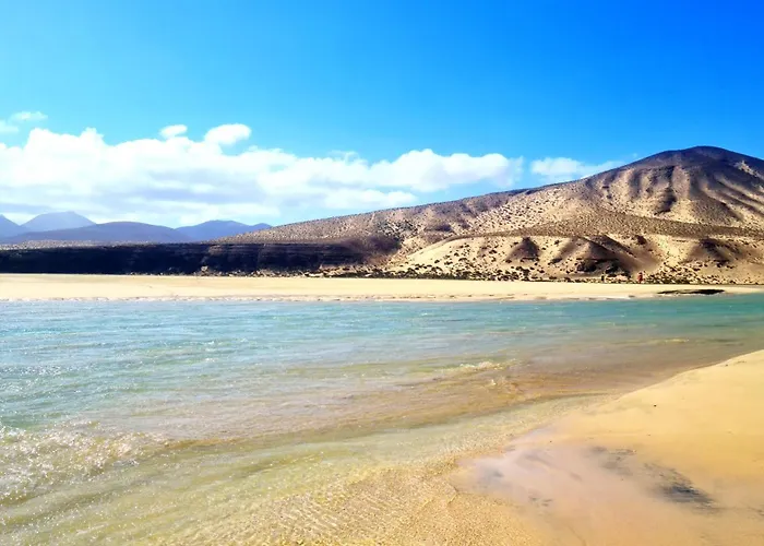 Apartment Casa Viola *