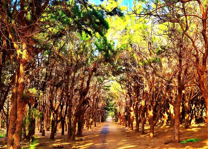 Casa Viola Apartment