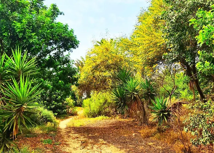 Casa Viola * Κόστα Κάλμα
