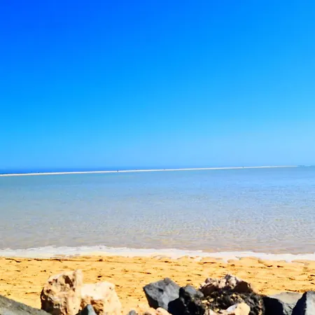 公寓 Casa Viola 科斯塔卡玛