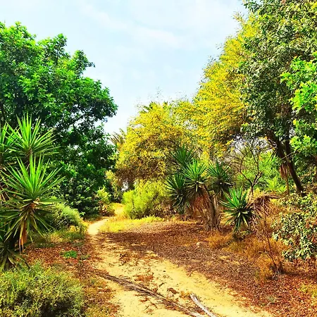 Casa Viola * 科斯塔卡玛