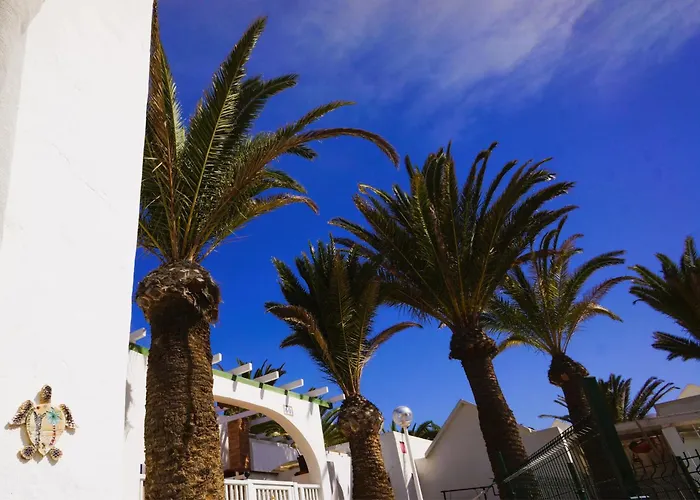 Apartment Casa Viola